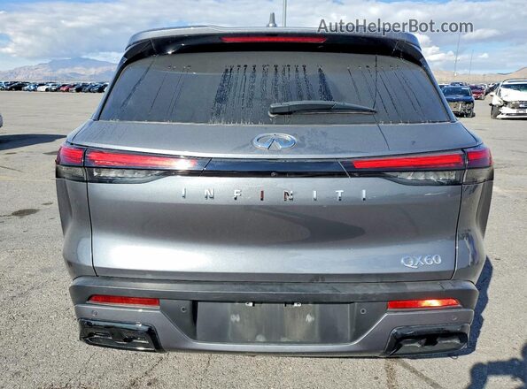 5N1DL1ER6PC374249 2023 INFINITI QX60 Gray Вид ззаду