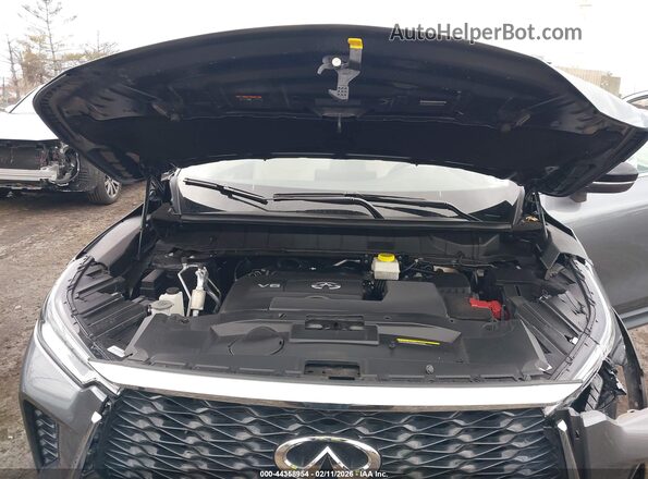 5N1DL1FS4RC351640 2024 INFINITI QX60 Серый Вид сзади