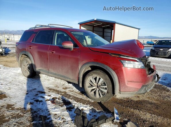 5N1DR3CC0RC285143 2024 NISSAN PATHFINDER Красный Передняя правая четверть