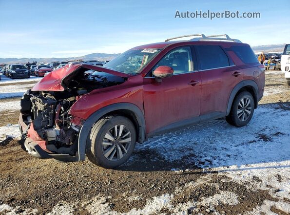 5N1DR3CC0RC285143 2024 NISSAN PATHFINDER Красный Передняя левая четверть