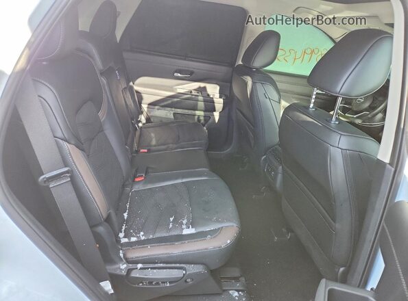 5N1DR3DJ8SC248165 2025 NISSAN PATHFINDER Белый Вид задней части салона