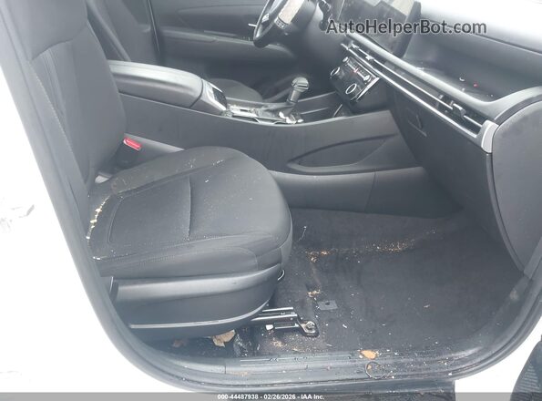 5NMJB3DE8SH527910 2025 HYUNDAI TUCSON Белый Вид салона спереди