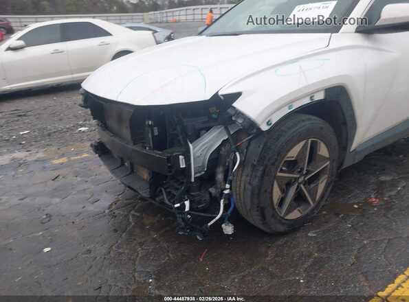 5NMJB3DE8SH527910 2025 HYUNDAI TUCSON Белый 