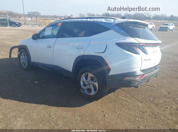 5NMJBCAE7PH197222 2023 HYUNDAI TUCSON Белый Задняя левая четверть