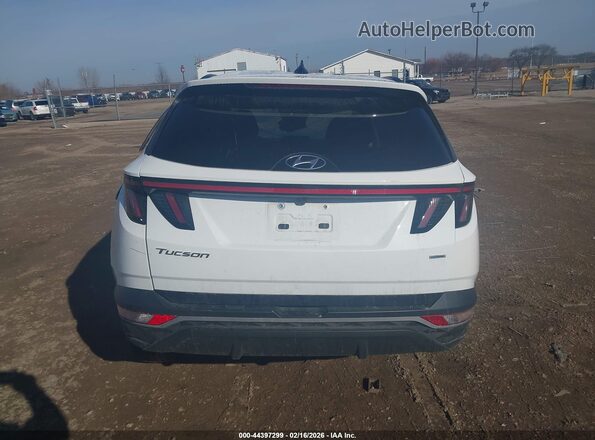 5NMJBCAE7PH197222 2023 HYUNDAI TUCSON Белый 