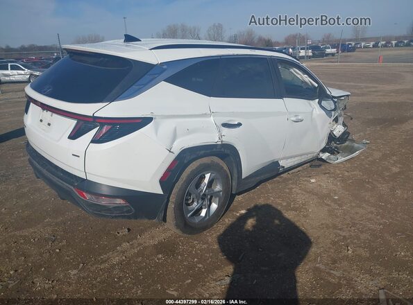 5NMJBCAE7PH197222 2023 HYUNDAI TUCSON Белый Задняя правая четверть