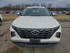 2024 Hyundai Tucson Sel Белый vin: 5NMJFCDE8RH401495