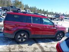 2024 Hyundai Santa Fe Hybrid Sel Red vin: 5NMP2DG19RH003331