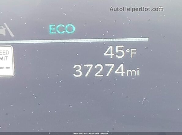 5NMP2DG19RH003331 2024 HYUNDAI SANTA FE HYBRID Red 