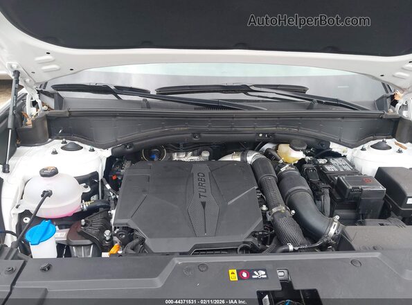 5NMP2DGL4TH155557 2026 HYUNDAI SANTA FE White Vista trasera