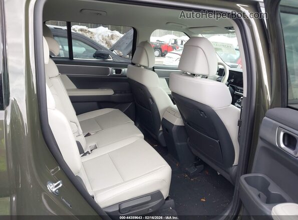 5NMP2DGL7RH039892 2024 HYUNDAI SANTA FE Green Widok naklejki z numerem VIN