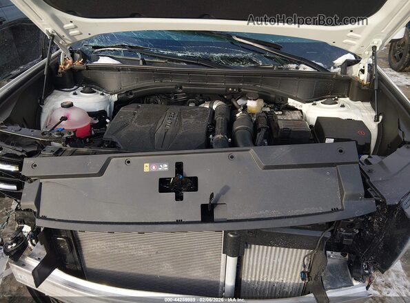 5NMP2DGLXSH142682 2025 HYUNDAI SANTA FE White Widok z tyłu