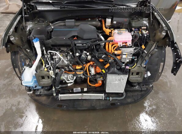 5NMP3DG1XRH004498 2024 HYUNDAI SANTA FE HYBRID Green Widok z tyłu