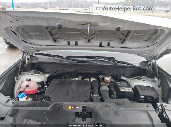 5NMP3DGL0RH048088 2024 HYUNDAI SANTA FE Silver Widok z tyłu