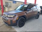 2025 Hyundai Santa Fe Xrt Brown vin: 5NMP3DGL2SH121340
