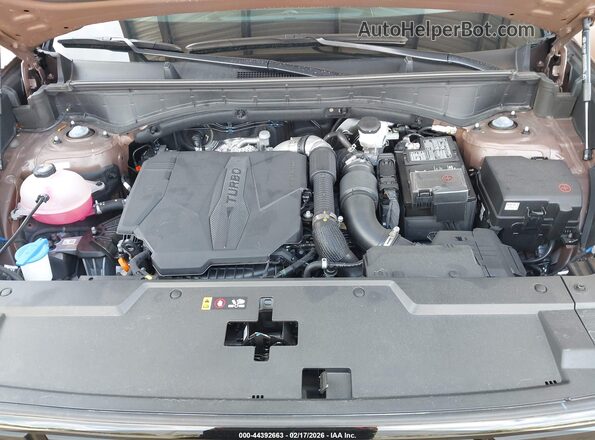 5NMP3DGL2SH121340 2025 HYUNDAI SANTA FE Brown Widok z tyłu