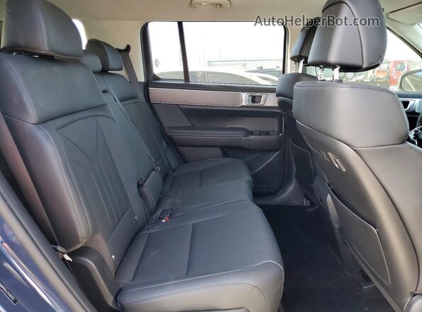 5NMP3DGL7SH109233 2025 HYUNDAI SANTA Синий Вид задней части салона