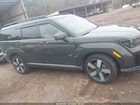 2024 Hyundai Santa Fe Limited Green vin: 5NMP4DGL5RH034765
