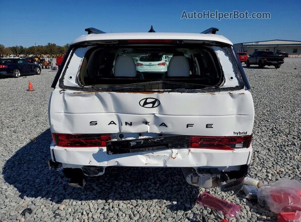 5NMP54G14SH047248 2025 HYUNDAI SANTA FE CALLIGRAPHY Белый Вид сзади