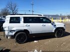 2024 Hyundai Santa Fe Calligraphy White vin: 5NMP54GL0RH048392