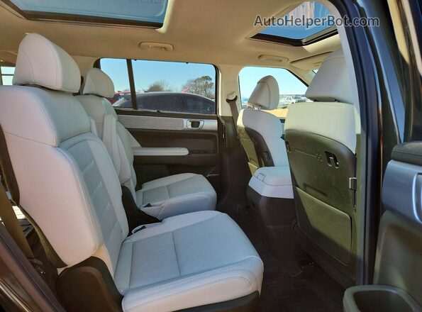 5NMP54GL6SH101246 2025 HYUNDAI SANTA FE CALLIGRAPHY Green Vista interior trasera