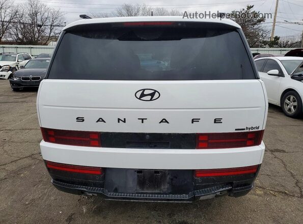 5NMP5DG13RH005843 2024 HYUNDAI SANTA FE CALLIGRAPHY Белый Вид сзади