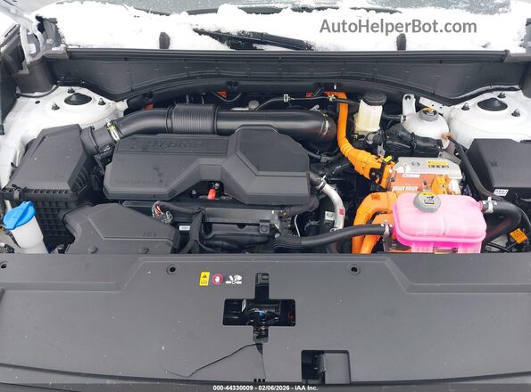 5NMP5DG17TH096641 2026 HYUNDAI SANTA FE HYBRID Белый Вид сзади