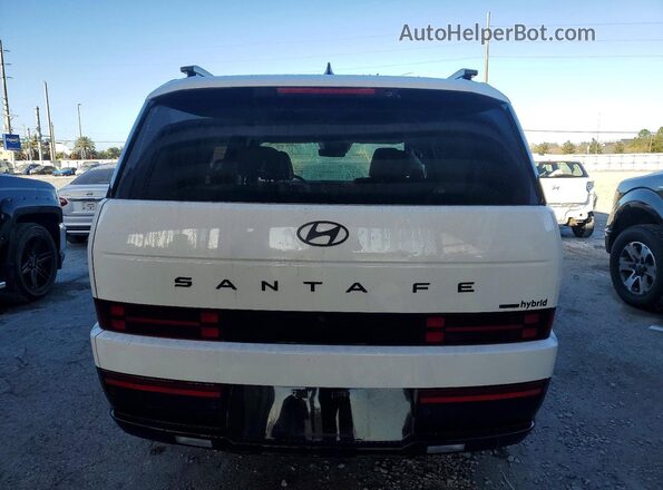 5NMP5DG1XSH039493 2025 HYUNDAI SANTA Белый Вид сзади