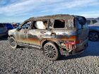 2025 Hyundai Santa Fe Calligraphy Burn vin: 5NMP5DGL0SH130063