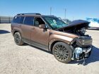2024 Hyundai Santa Fe Calligraphy Brown vin: 5NMP5DGL4RH059587
