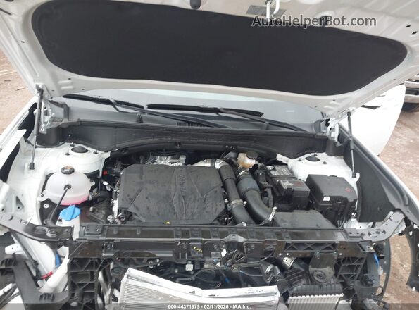 5NMP5DGL8SH112913 2025 HYUNDAI SANTA FE CALLIGRAPHY Белый Вид сзади