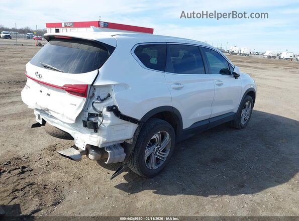 5NMS1DAJXPH555472 2023 HYUNDAI SANTA FE Белый Задняя правая четверть