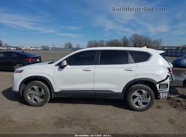 5NMS1DAJXPH555472 2023 HYUNDAI SANTA FE Белый 