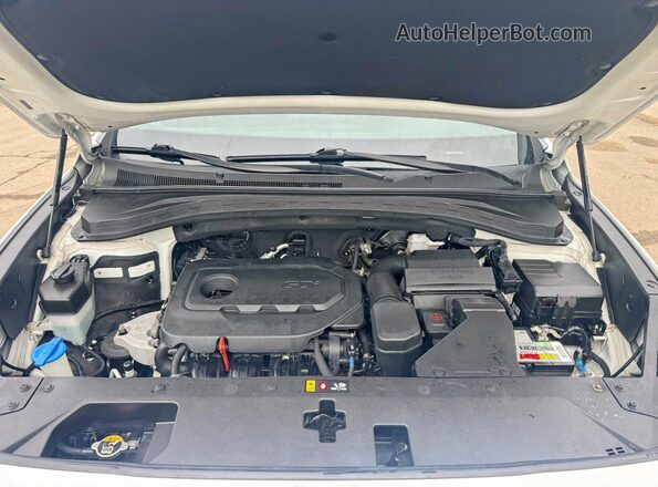 5NMS2CAD2KH124263 2019 HYUNDAI SANTA White Vista interior delantera