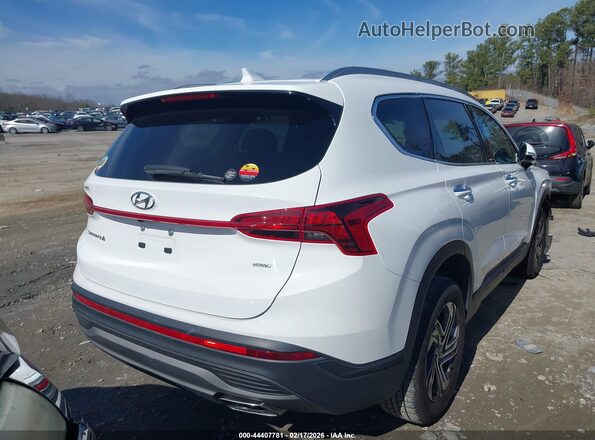 5NMS2DAJ0PH623968 2023 HYUNDAI SANTA FE Белый Задняя правая четверть