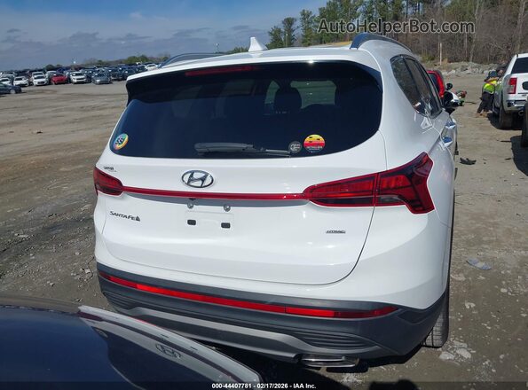 5NMS2DAJ0PH623968 2023 HYUNDAI SANTA FE Белый 