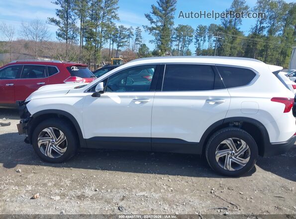 5NMS2DAJ0PH623968 2023 HYUNDAI SANTA FE Белый Панорамный вид салона 360°