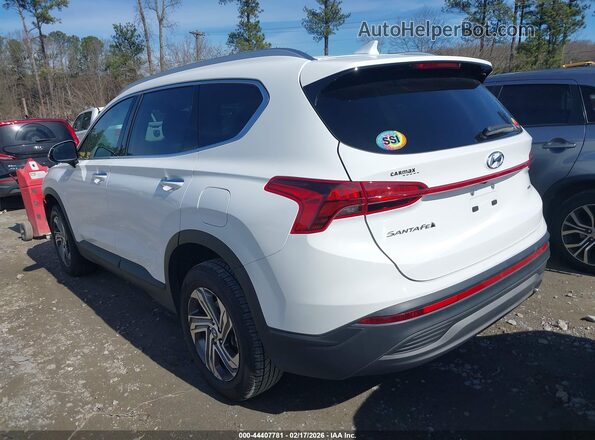 5NMS2DAJ0PH623968 2023 HYUNDAI SANTA FE Белый Задняя левая четверть
