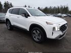 2023 Hyundai Santa Fe Sel White vin: 5NMS2DAJ4PH619843