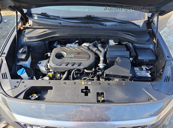 5NMS3CAA3LH152352 2020 HYUNDAI SANTA Gray Widok komory silnika