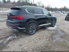 2023 Hyundai Santa Fe Hybrid Sel Premium Черный vin: 5NMS3DA12PH020954