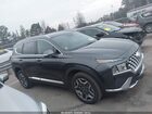 2023 Hyundai Santa Fe Hybrid Sel Premium Black vin: 5NMS3DA16PH021895 2023 Hyundai Santa Fe Hybrid Sel Premium Black vin: 5NMS3DA16PH021895