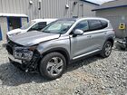 2023 Hyundai Santa Fe Sel White vin: 5NMS3DAJ7PH523198