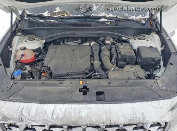 5NMS4DAL5NH391084 2022 HYUNDAI SANTA White Widok komory silnika