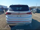 2023 Hyundai Santa Fe Calligraphy White vin: 5NMS54AL7PH490022