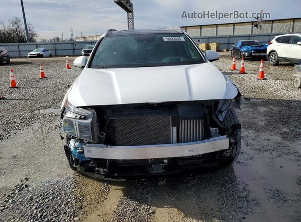 5NMS5DAL0PH657885 2023 HYUNDAI SANTA FE CALLIGRAPHY White Widok z przodu