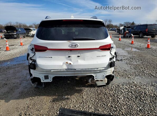 5NMS5DAL0PH657885 2023 HYUNDAI SANTA FE CALLIGRAPHY White Widok z tyłu