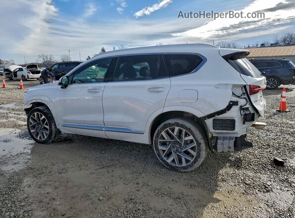 5NMS5DAL0PH657885 2023 HYUNDAI SANTA FE CALLIGRAPHY White Tył lewy