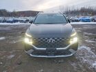 2023 Hyundai Santa Fe Calligraphy Black vin: 5NMS5DAL2PH518082
