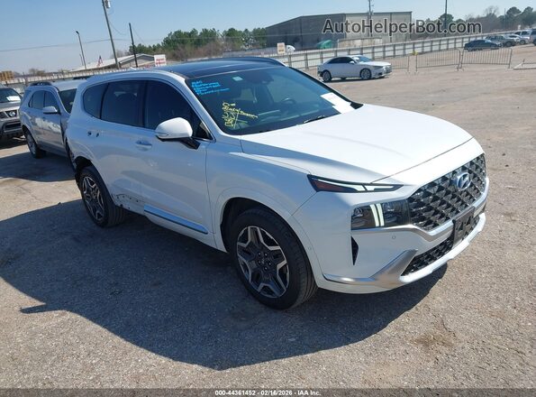 5NMS5DAL5MH316686 2021 HYUNDAI SANTA FE CALLIGRAPHY White Delantero derecho